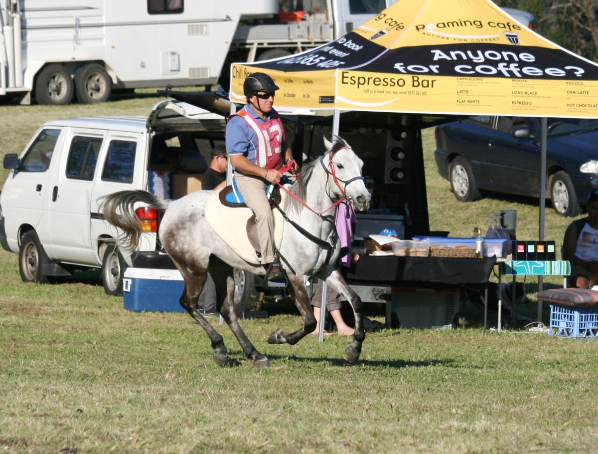 St Albans 27.9.14 014