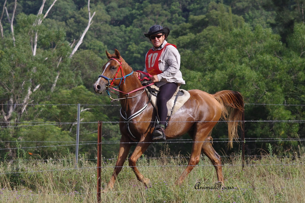 Endurance-Conderosa Zetes-2