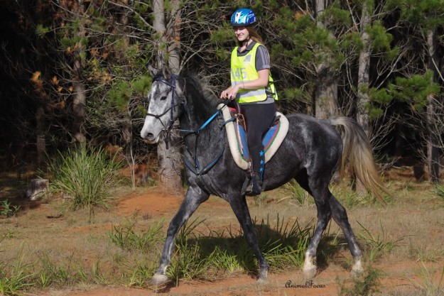 Mia Bodewes rode Conderosa Ambrosio Saturday in his first 20km trainer