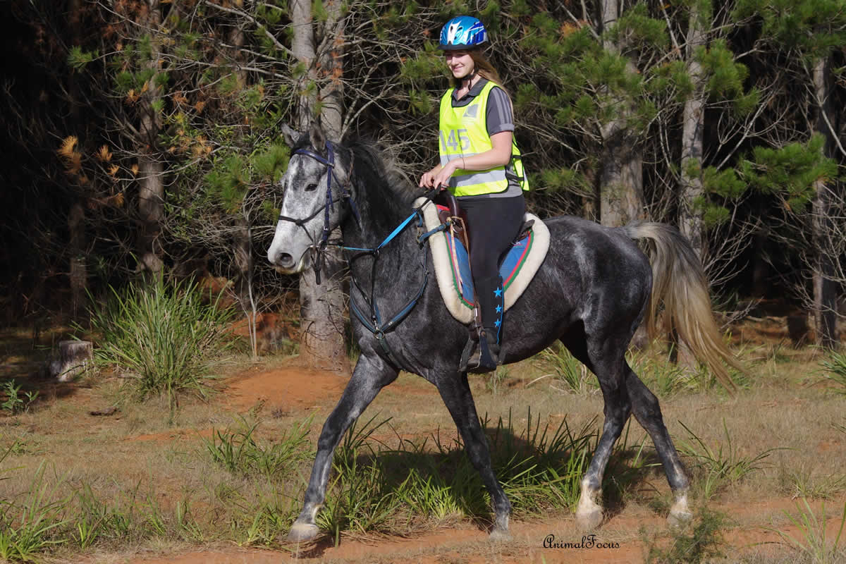 Mia Bodewes rode Conderosa Ambrosio Saturday in his first 20km trainer